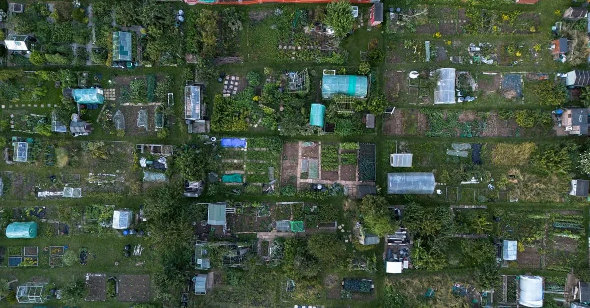 Les bienfaits de l'agriculture urbaine pour une écologie durable