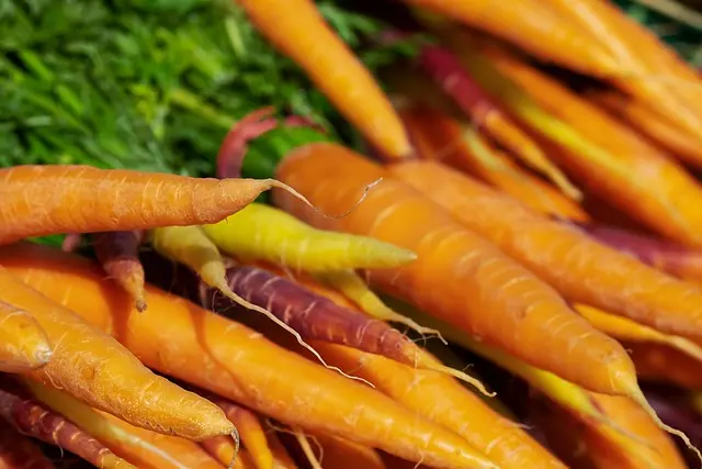 L'impact de l'agriculture bio sur l'environnement et la santé
