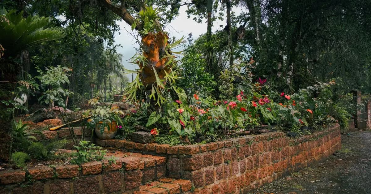 Comment pratiquer le jardinage bio pour stimuler la biodiversité
