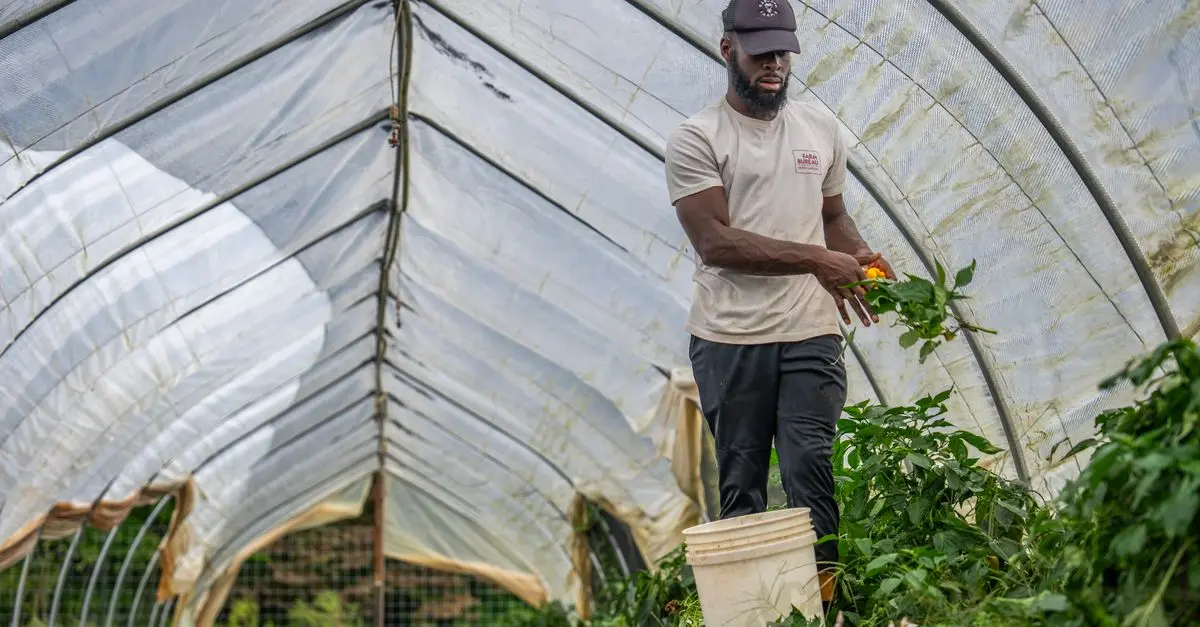 Les bienfaits inattendus de l'agriculture régénérative