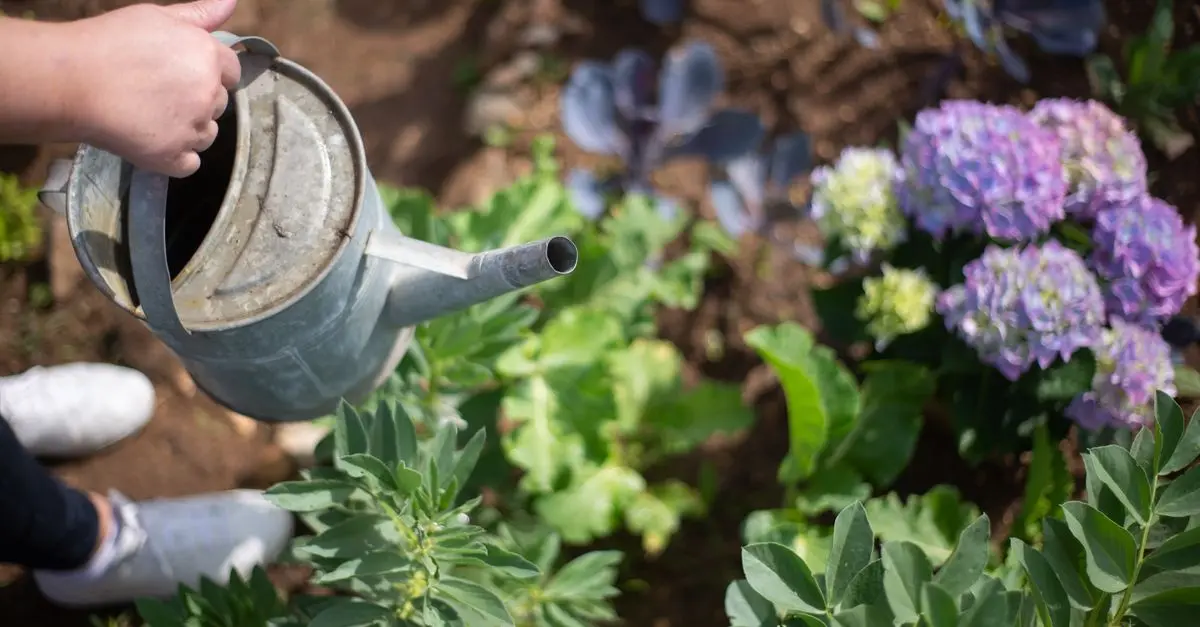 Comment créer un jardin bio écoresponsable en 5 étapes