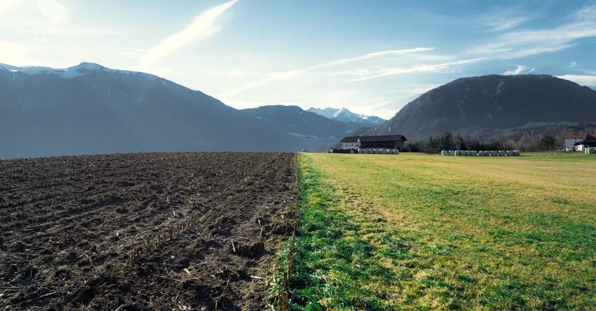 Les bienfaits de la biodynamie pour l'écologie bio