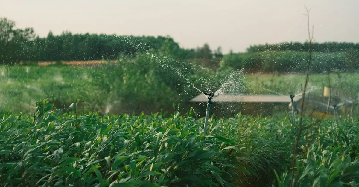 Comprendre les principes de l'agriculture bio et ses bienfaits