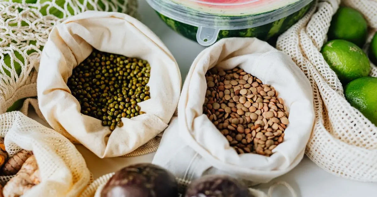 Comment intégrer l'écologie bio dans votre mode de vie