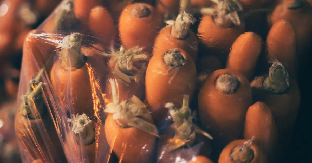Guide d'achat : choisir des cosmétiques bio et naturels