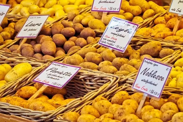 Les bienfaits des produits bio pour votre santé et l'environnement