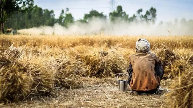 Les tendances de l'agriculture bio à suivre pour un avenir durable