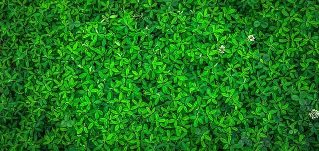 10 astuces pour réduire les déchets alimentaires facilement