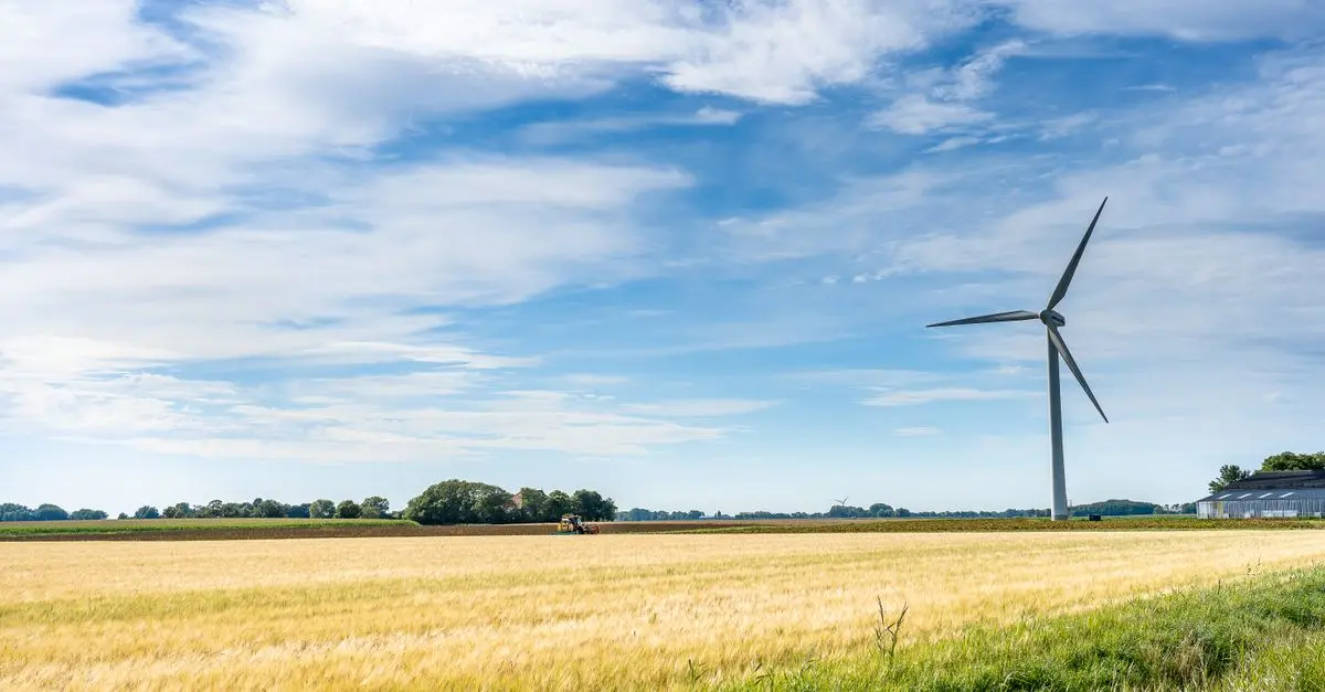 Les bases de l'écologie bio pour débutants