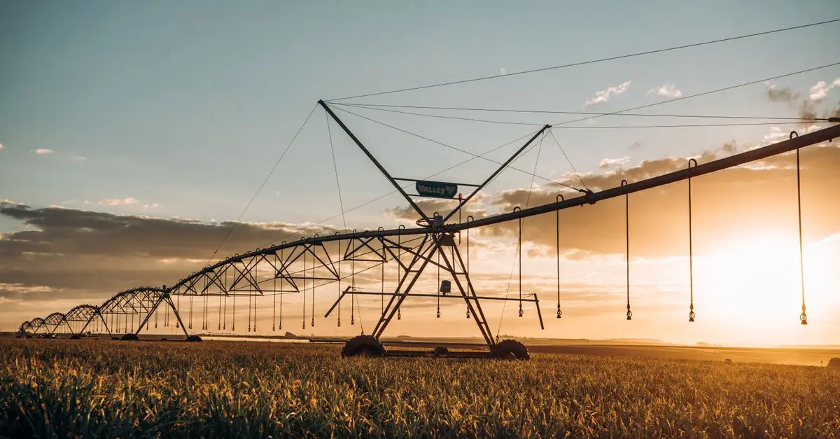 5 tendances majeures en agriculture bio pour 2026