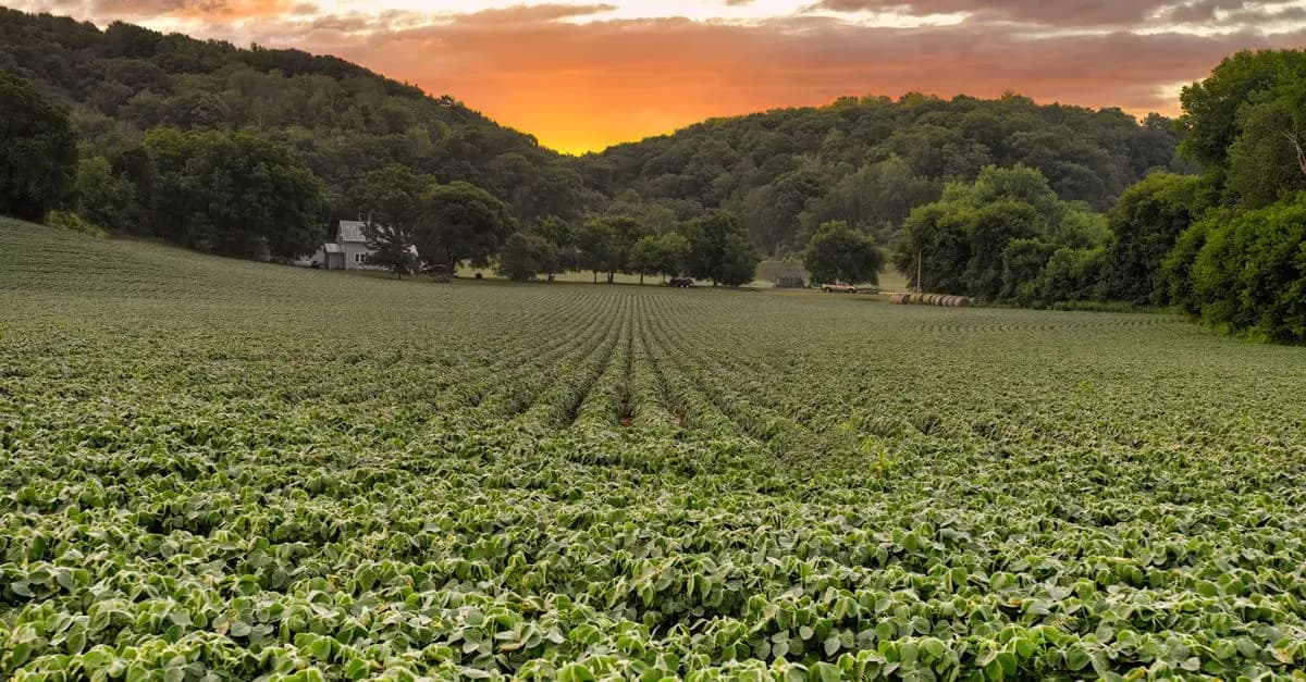 Les valeurs essentielles de l'écologie bio pour un avenir durable