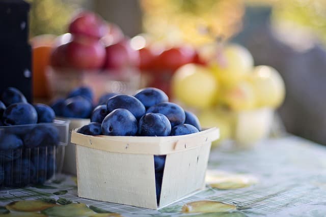 Comment choisir des aliments bio : guide complet