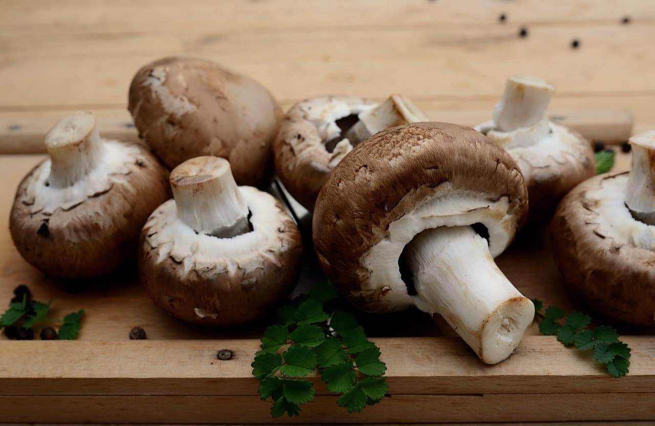 10 astuces pour une alimentation bio et équilibrée