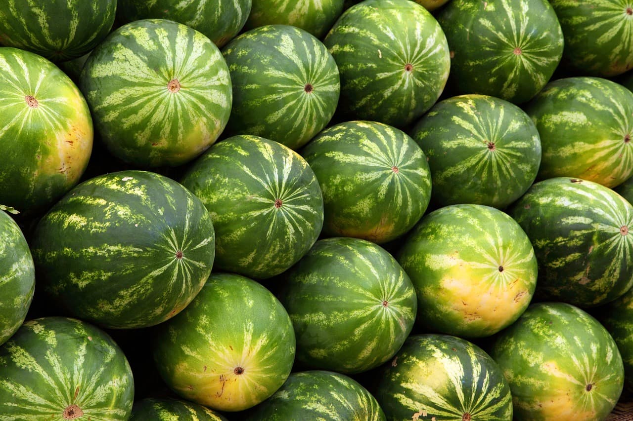 Les stratégies pour consommer bio sans se ruiner