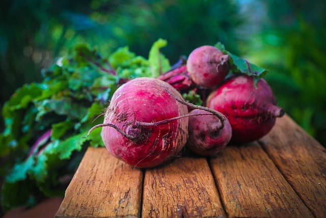 Comment choisir des aliments bio pour une alimentation équilibrée