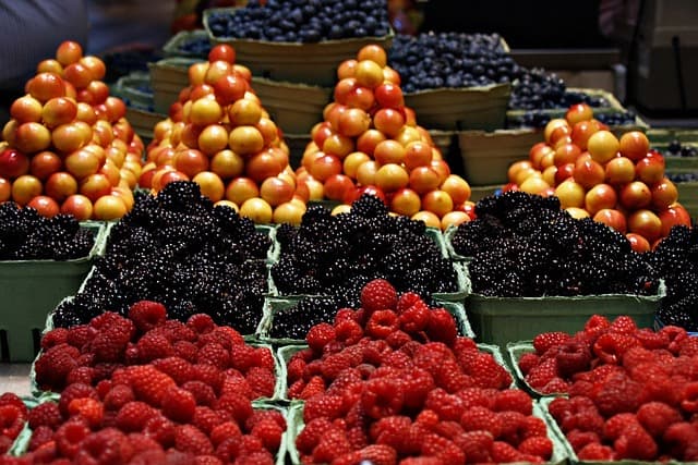 10 astuces pour intégrer l'écologie bio dans votre quotidien