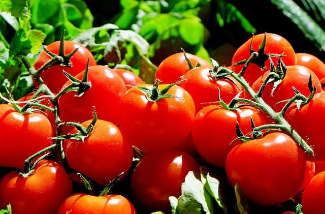 Guide pratique pour choisir des fruits et légumes bio