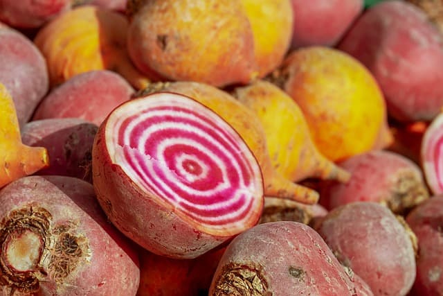 Guide pratique pour comprendre l'agriculture biodynamique