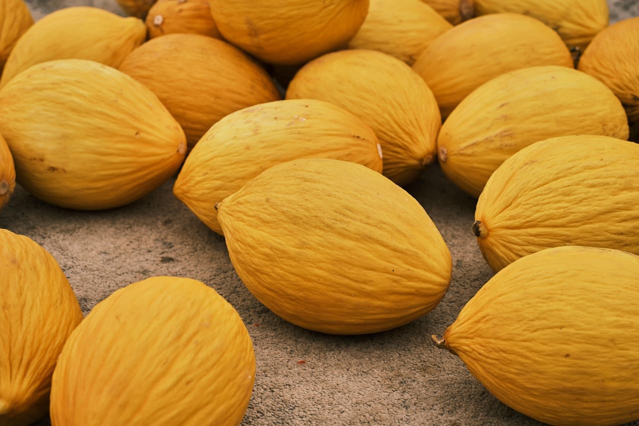 Comment choisir des aliments bio de saison pour votre santé