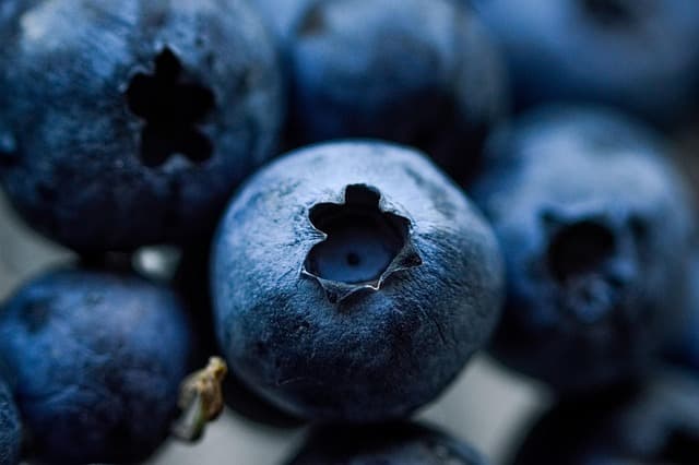 Les super-aliments bio à intégrer dans votre alimentation
