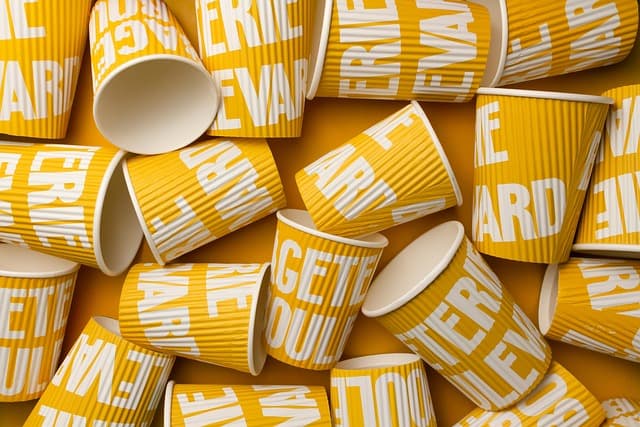 Comment choisir des produits bio et éthiques pour votre maison