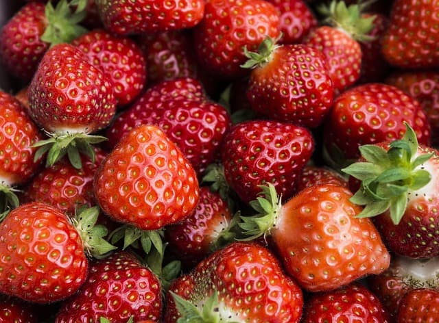 Comment choisir des produits bio de manière éclairée