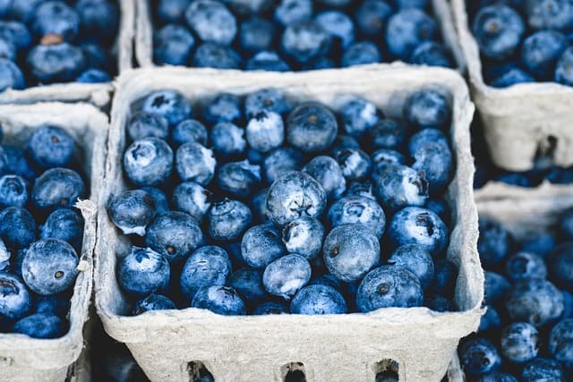 Comment choisir des fruits et légumes bio : guide pratique