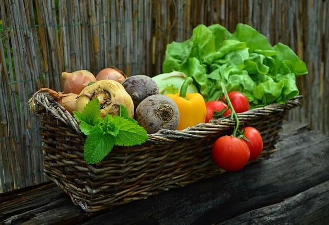 Pourquoi choisir des produits bio pour votre santé