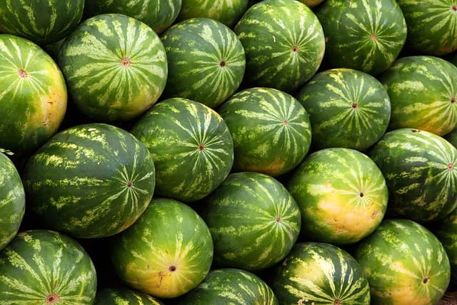 Comment choisir des aliments bio en toute confiance