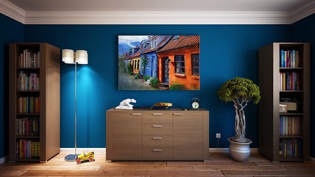 Les plantes d'intérieur bio pour purifier votre maison