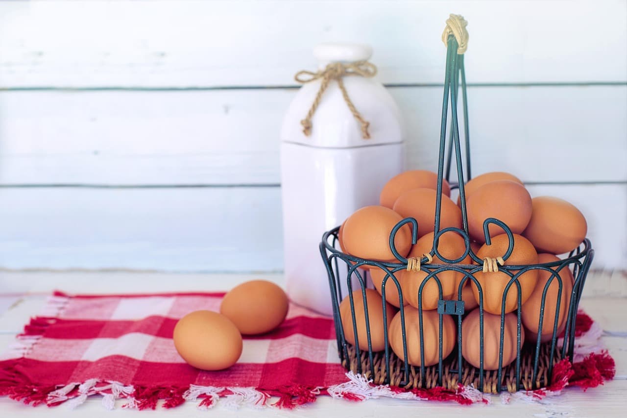 Comment choisir des aliments bio pour un impact positif sur votre santé